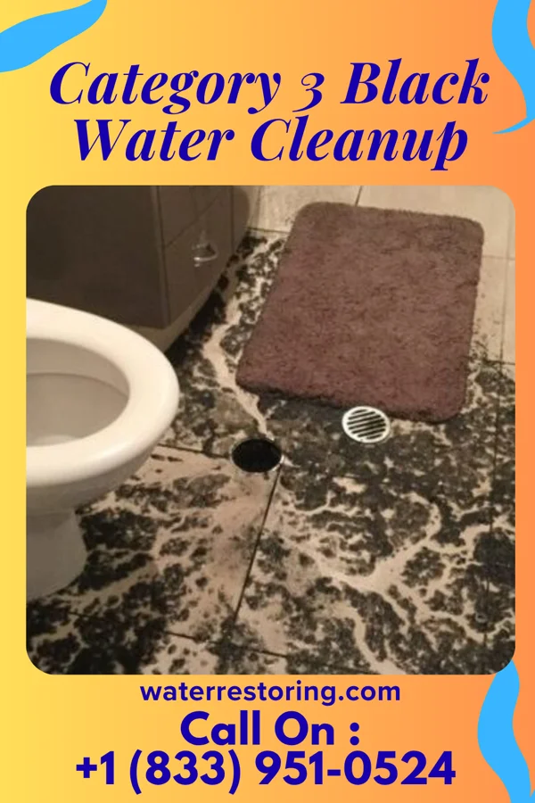 Category 3 Black Water Cleanup in Brownington, MO