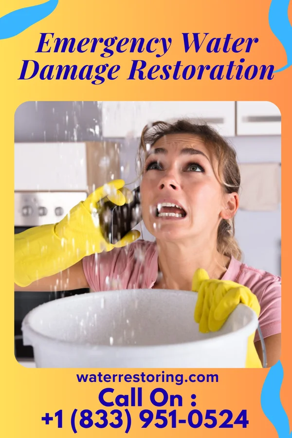 Emergency Water Damage Restoration in Brownington, MO