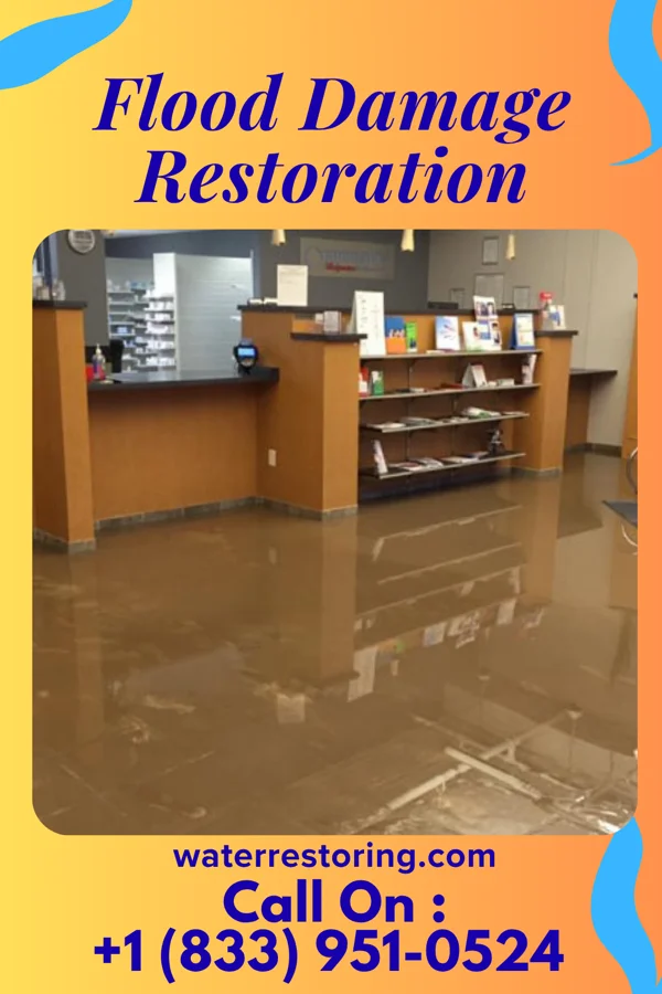 Flood Damage Restoration in Brownington, MO